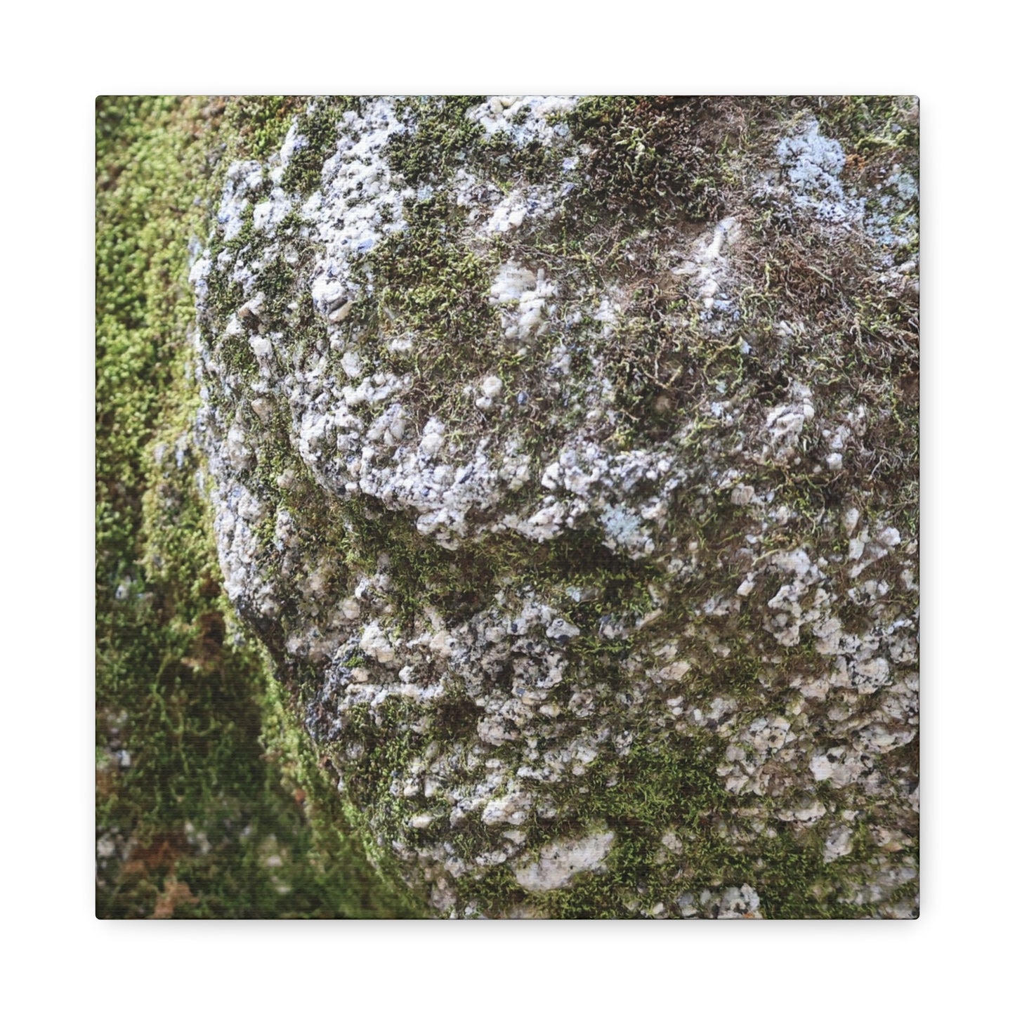 Moss and Stone Whispers - Unique Frameless Canvas Wall Art - Art By Earth
