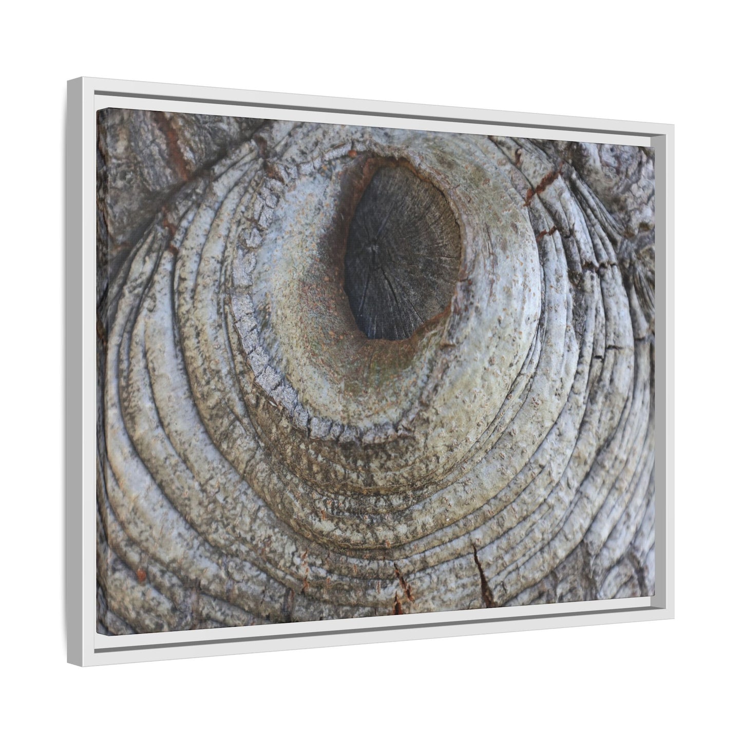 Echoes of Time - Unique Stretched Canvas Wall Art - Art By Earth