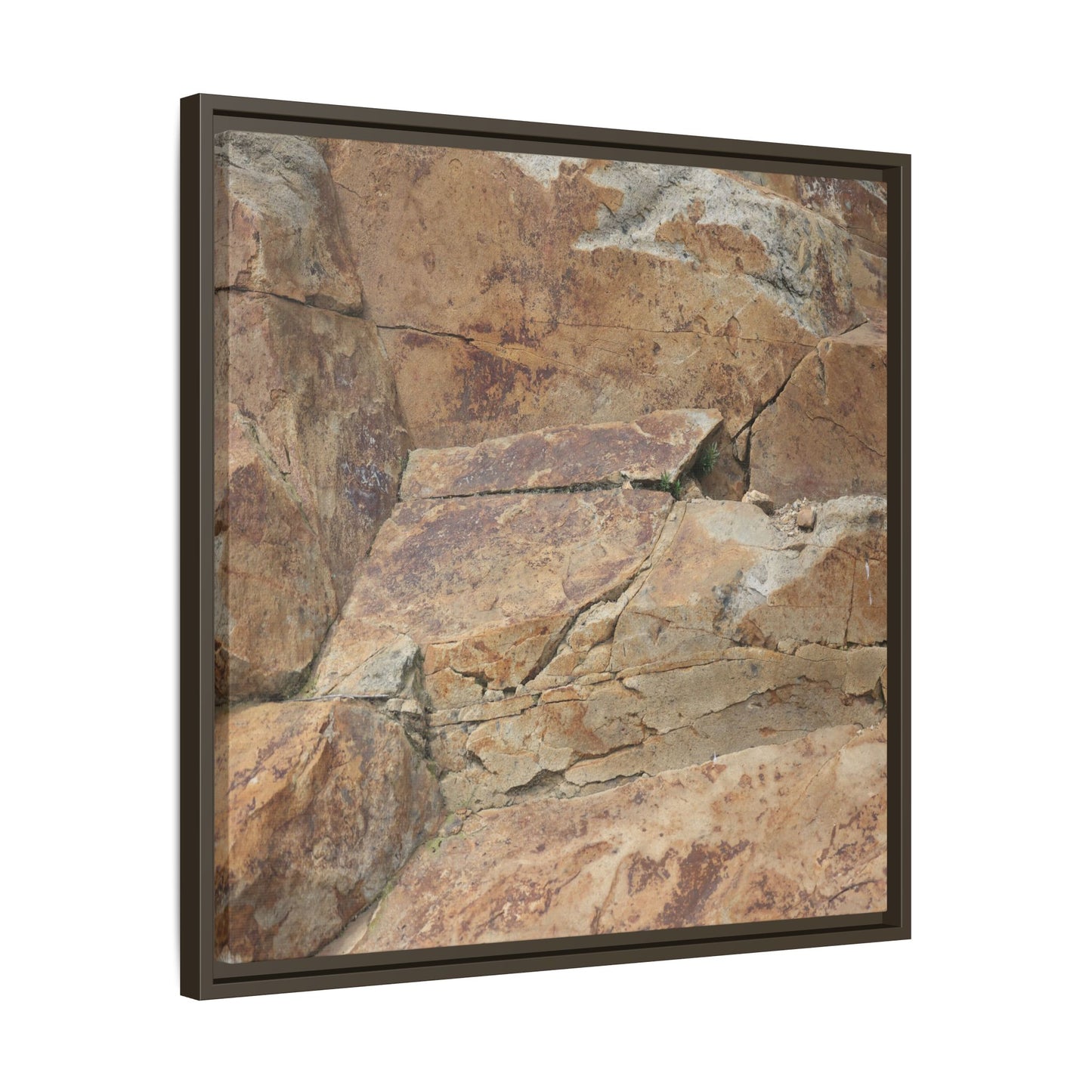 Ancient Foundations - Unique Stretched Canvas Wall Art - Art By Earth