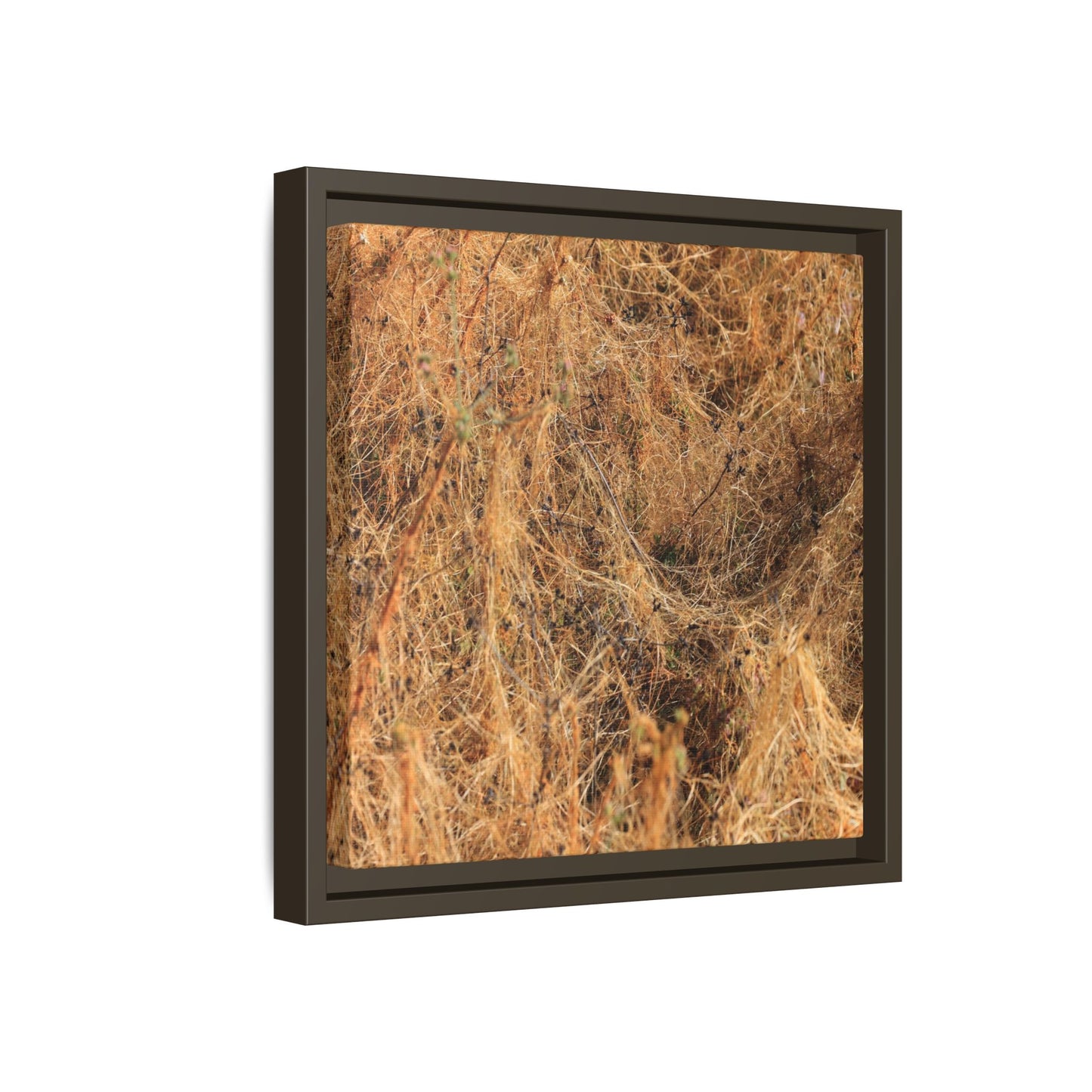Dried Vegetation Study - Unique Stretched Canvas Wall Art - Art By Earth
