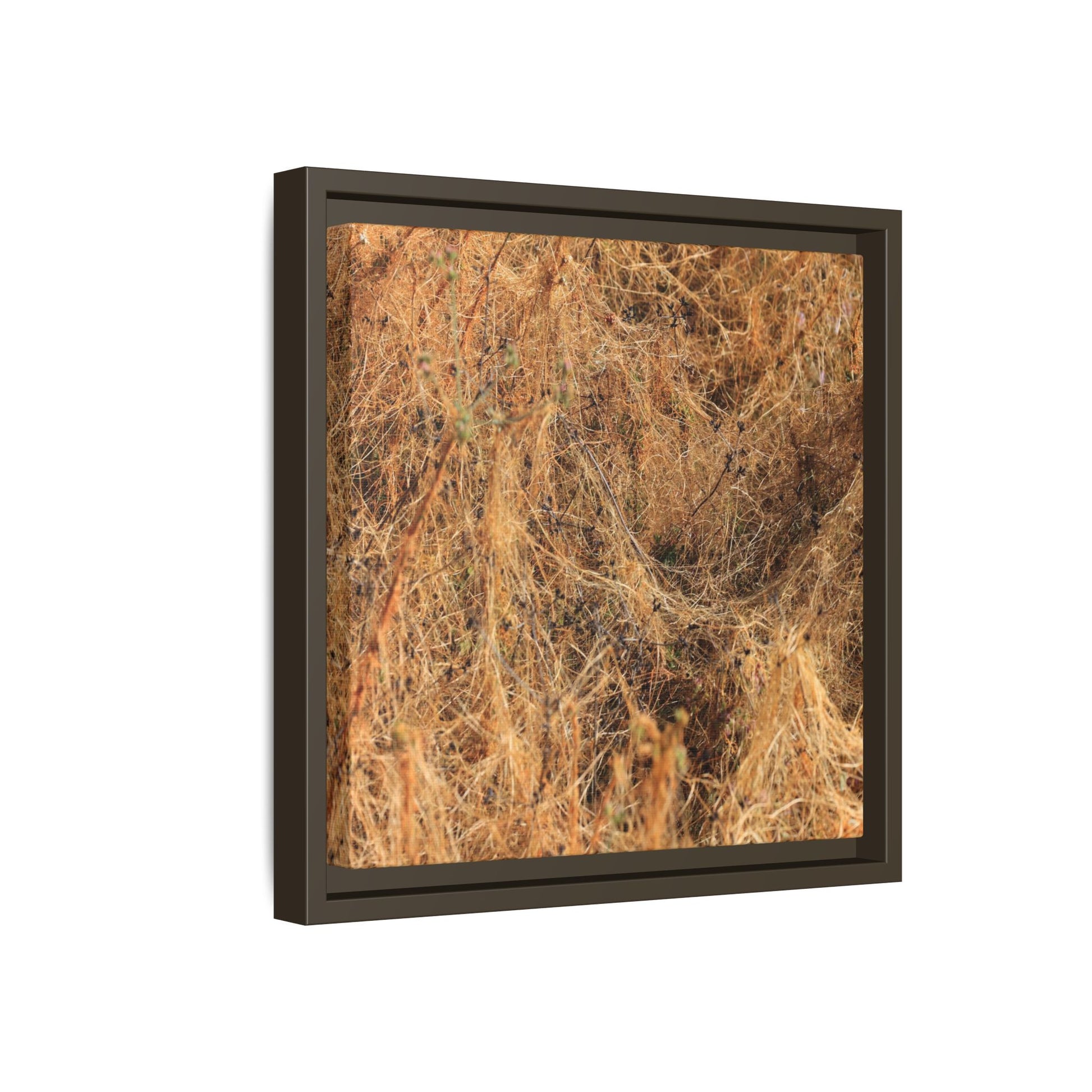 Dried Vegetation Study - Unique Stretched Canvas Wall Art - Art By Earth