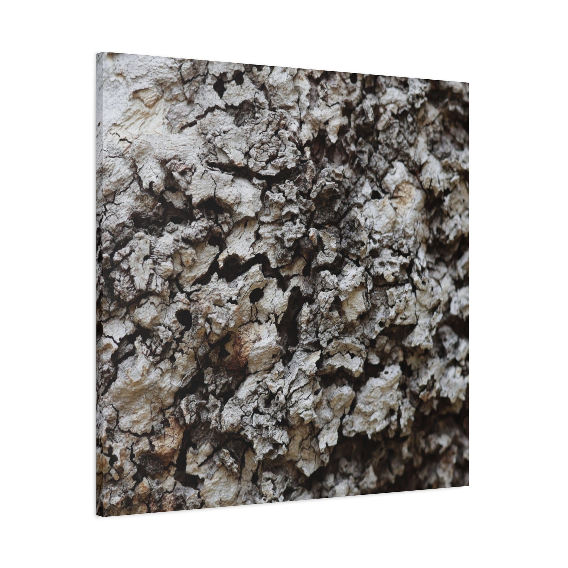 Cracked Earth Tapestry - Unique Frameless Canvas Wall Art - Art By Earth