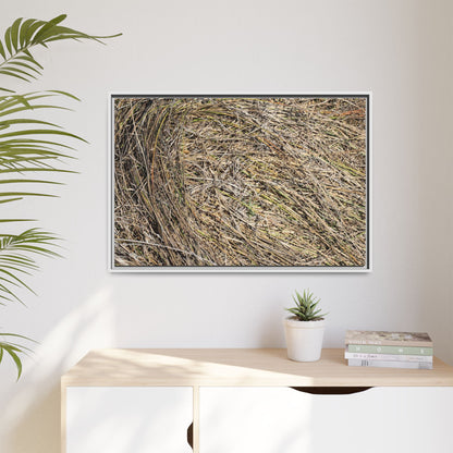 Tangled Grass Symphony - Unique Stretched Canvas Wall Art - Art By Earth