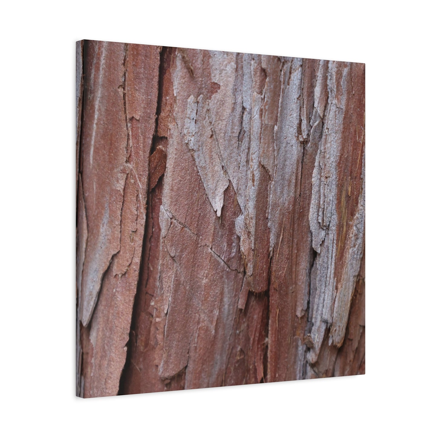 Peeling Paint - Unique Frameless Canvas Wall Art - Art By Earth