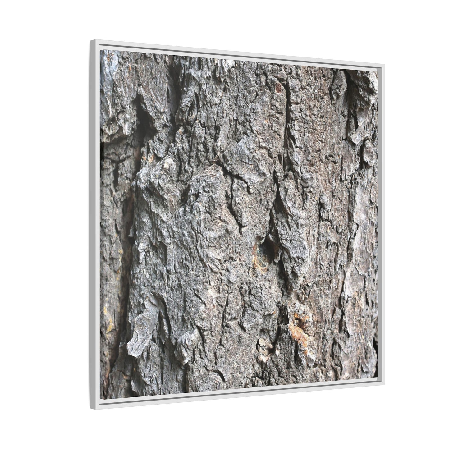 Crusty Exterior - Unique Stretched Canvas Wall Art - Art By Earth