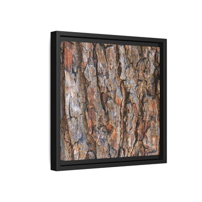 Tree's Timeworn Tale - Unique Stretched Canvas Wall Art - Art By Earth