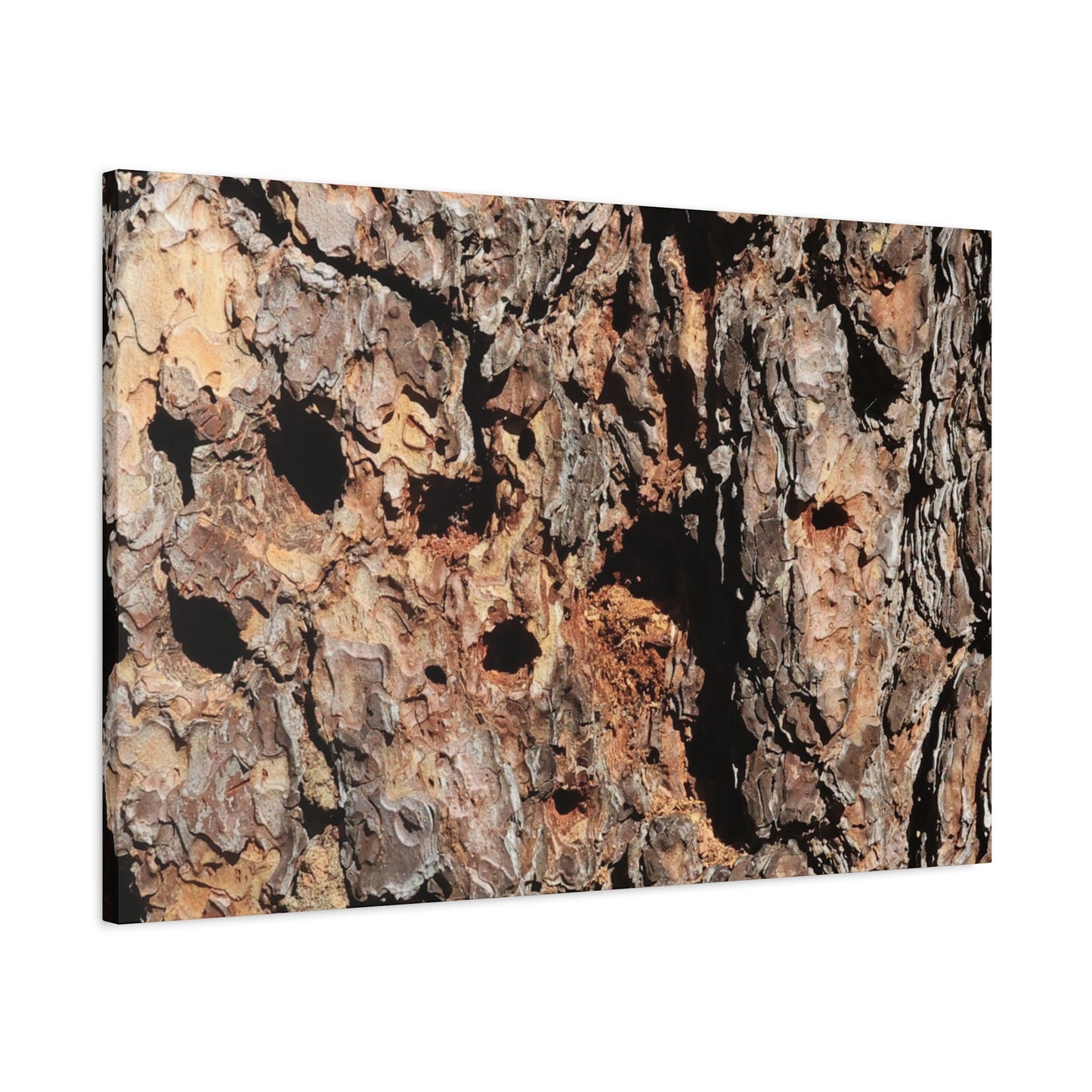 Tree Bark Mosaic - Unique Frameless Canvas Wall Art - Art By Earth