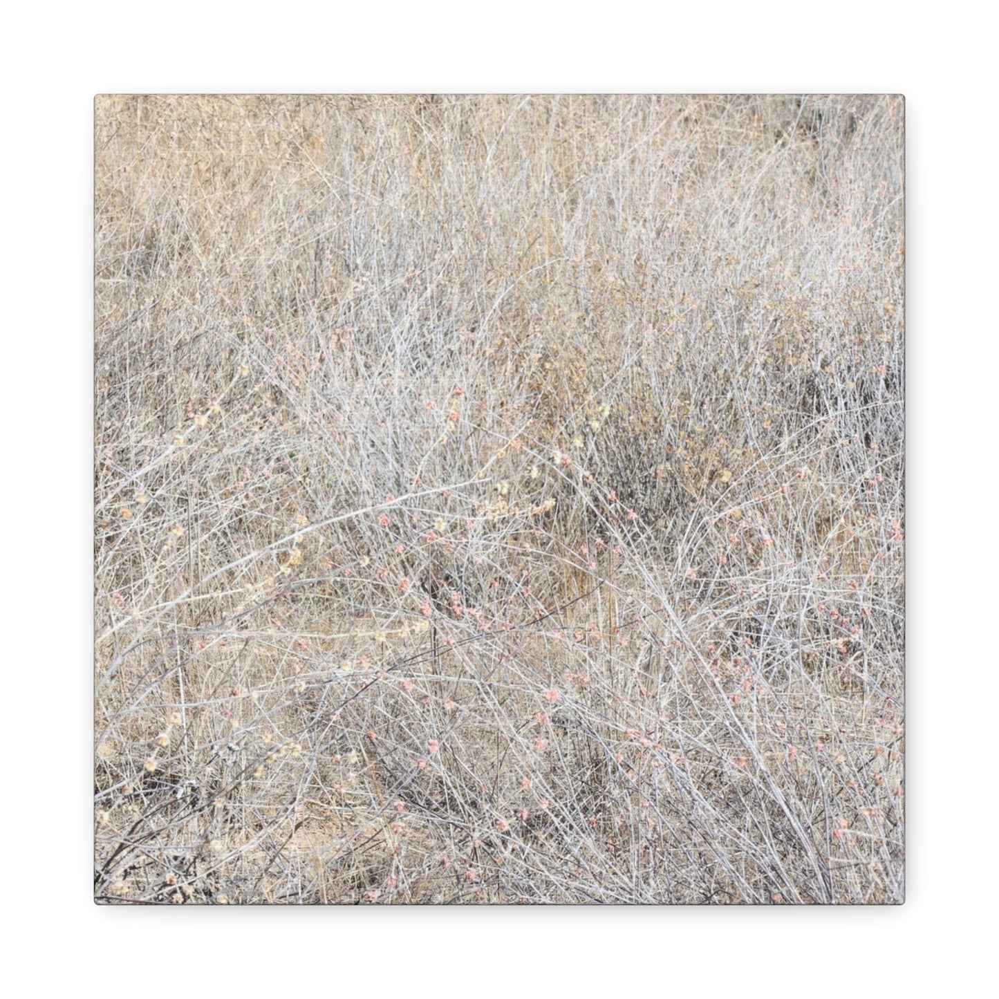 Tangled Whispers of Autumn's Fading Breath - Unique Frameless Canvas Wall Art - Art By Earth