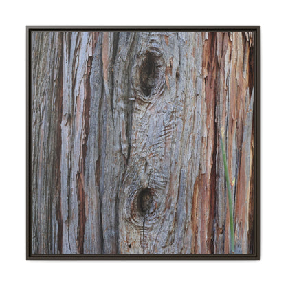 Knotty Nature - Unique Stretched Canvas Wall Art - Art By Earth
