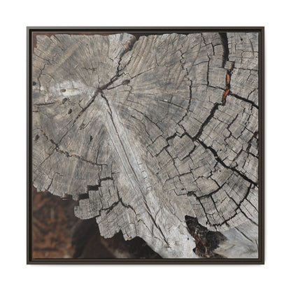 Time's Signature - Unique Stretched Canvas Wall Art - Art By Earth