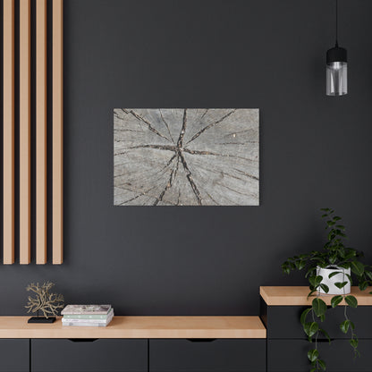 Cracked Chronicle - Unique Frameless Canvas Wall Art - Art By Earth
