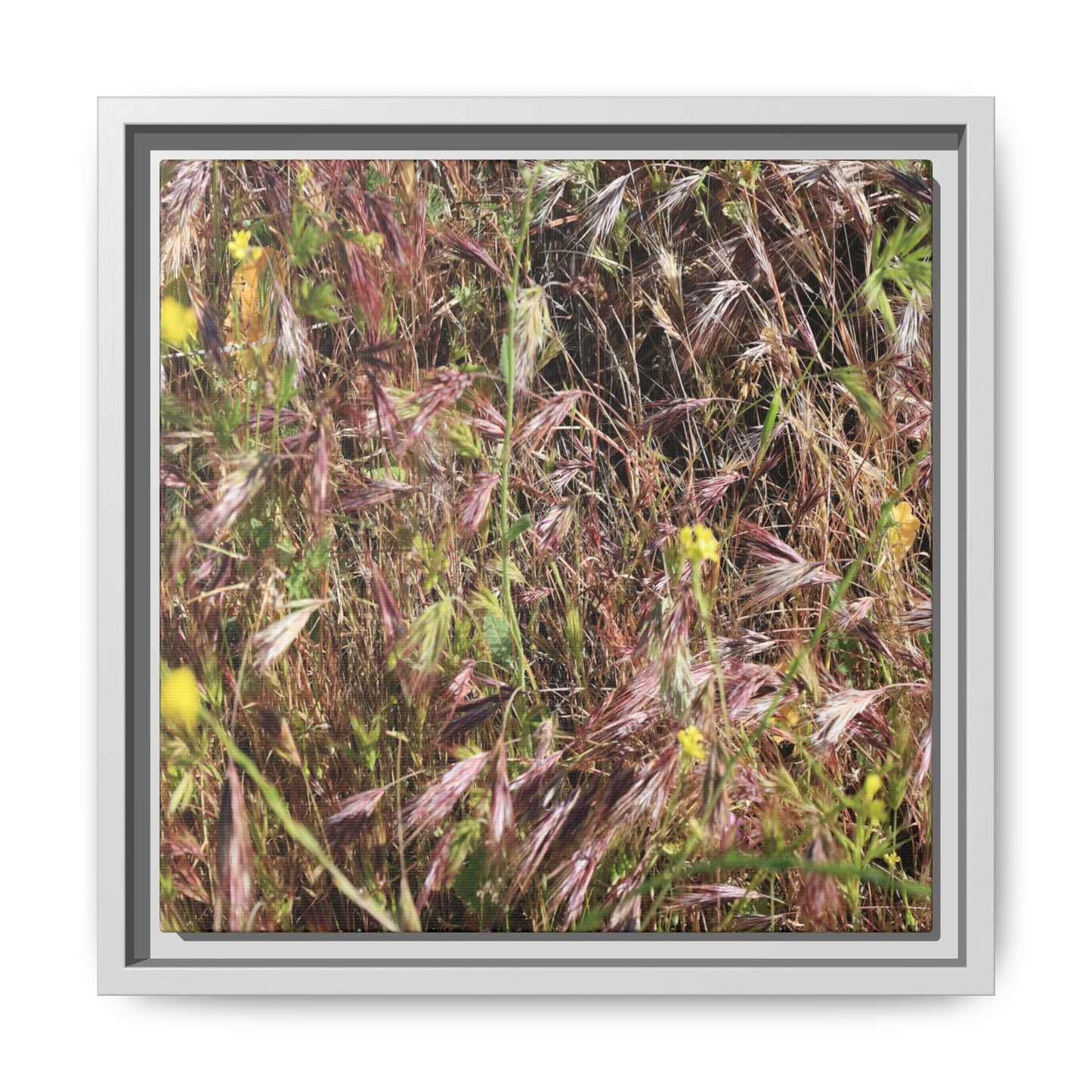 Autumn Meadow - Unique Stretched Canvas Wall Art - Art By Earth