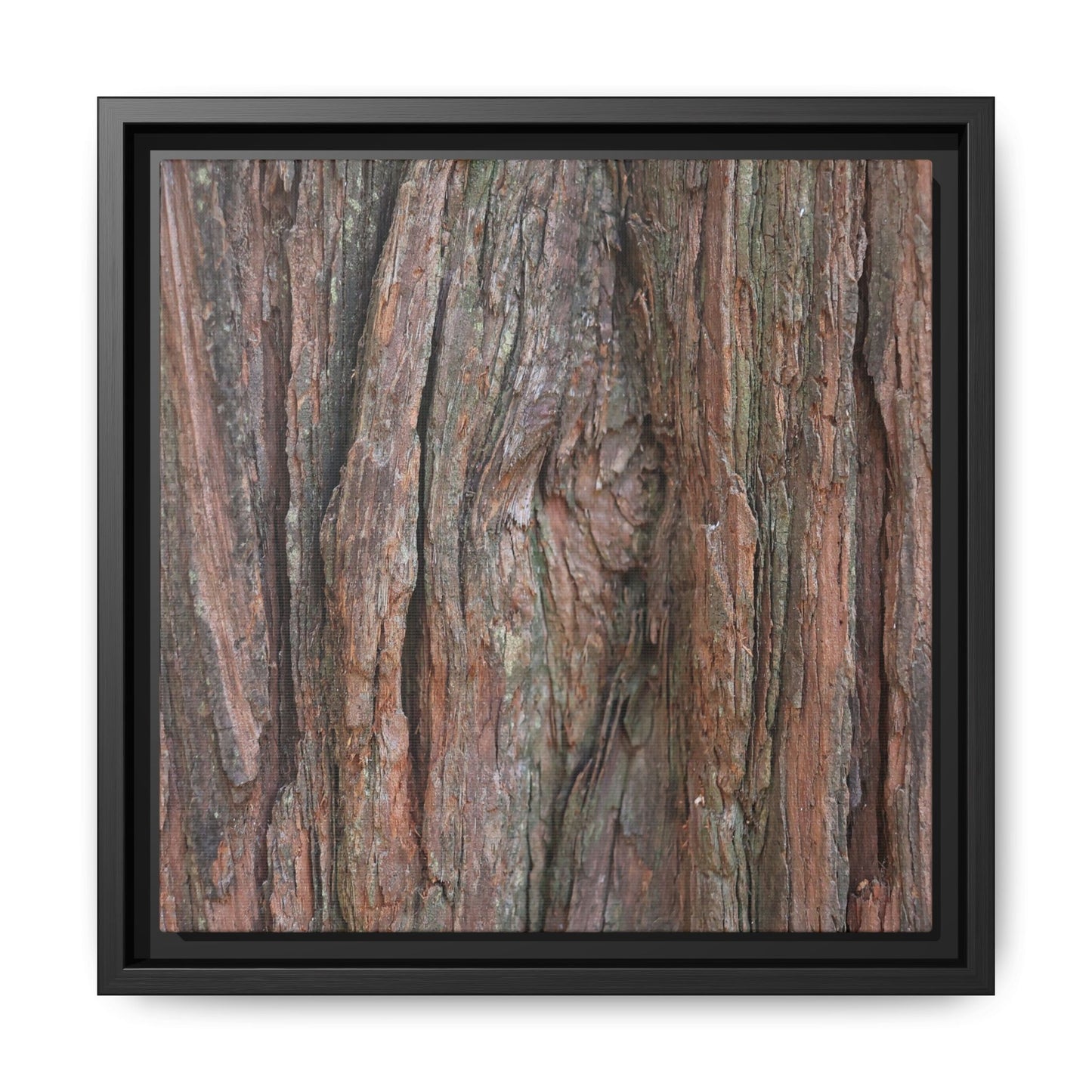 Rugged Textures - Unique Stretched Canvas Wall Art - Art By Earth