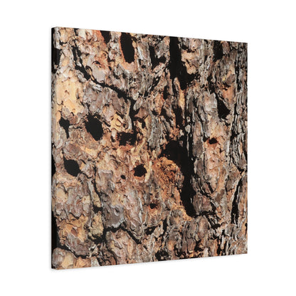 Tree Bark Mosaic - Unique Frameless Canvas Wall Art - Art By Earth