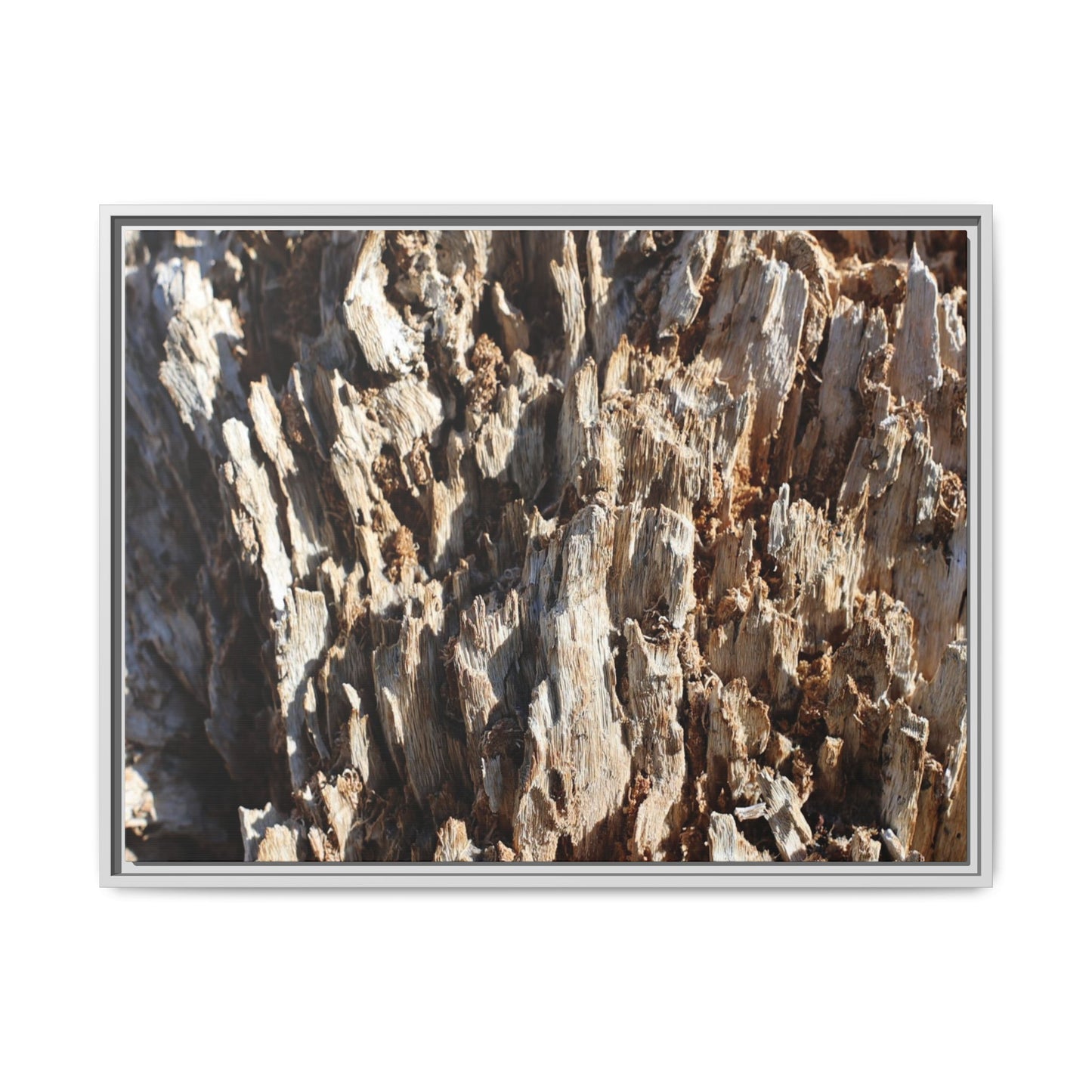 Fractal Fragments - Unique Stretched Canvas Wall Art