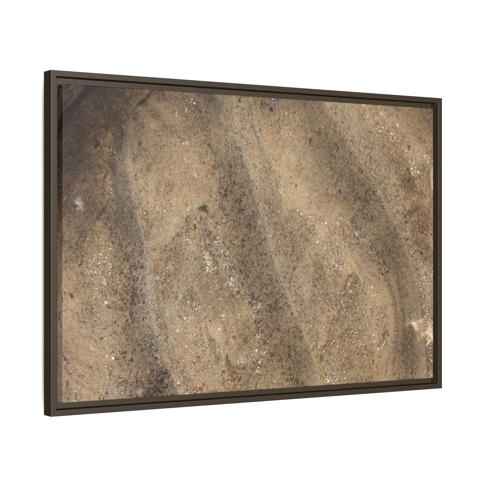 Tidal Pool Secrets - Unique Stretched Canvas Wall Art - Art By Earth