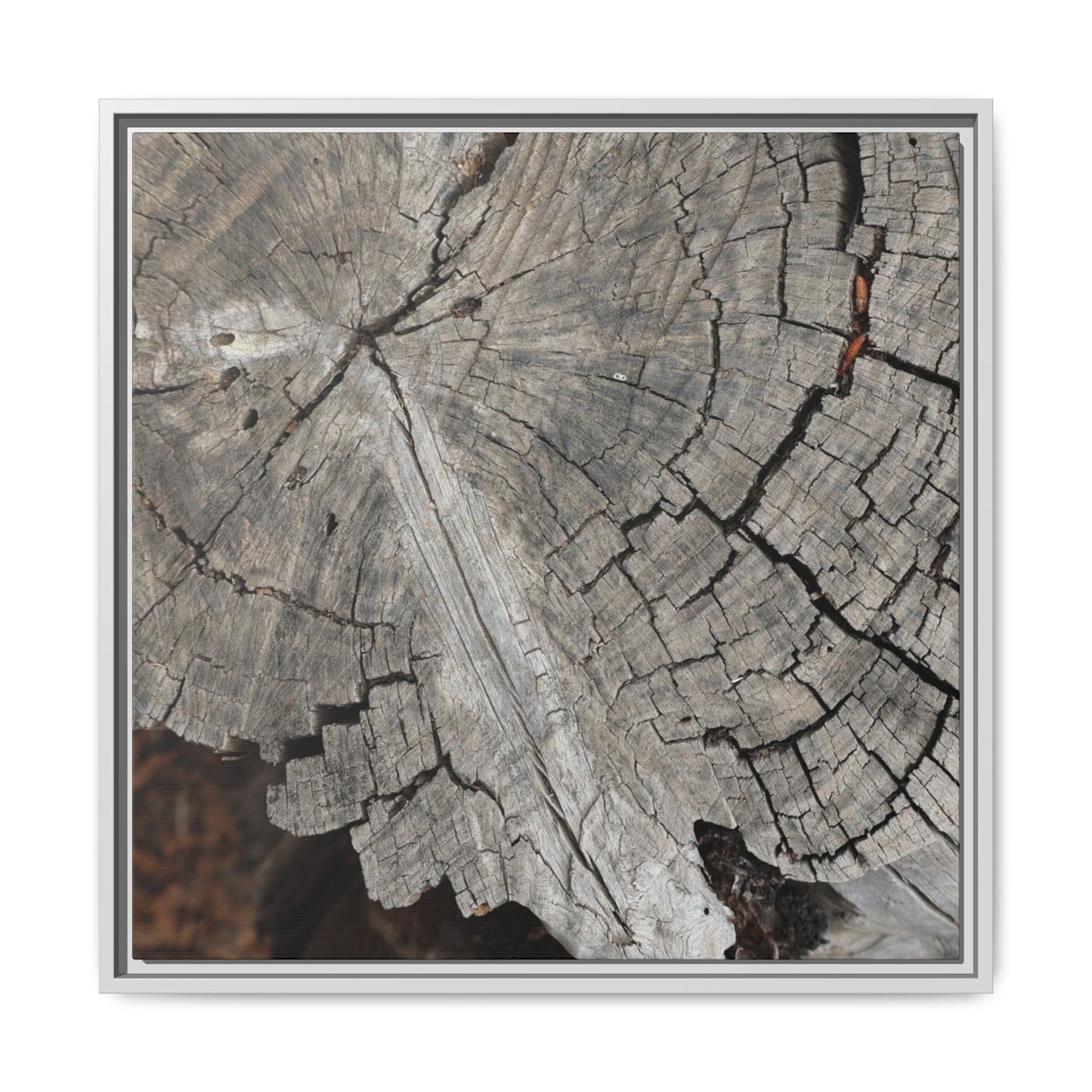 Time's Signature - Unique Stretched Canvas Wall Art - Art By Earth