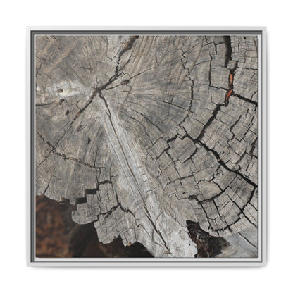 Time's Signature - Unique Stretched Canvas Wall Art - Art By Earth