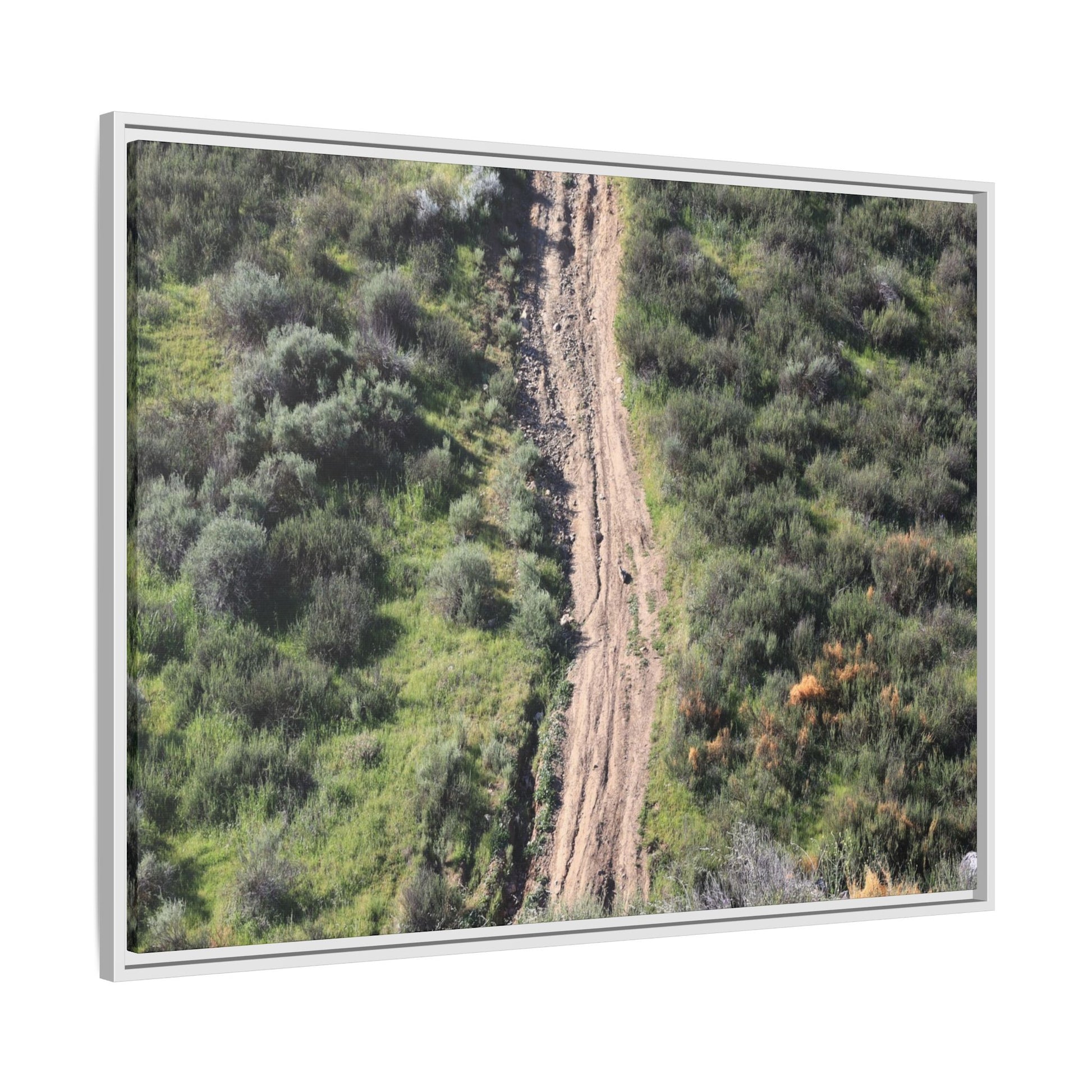 Desert Path Through Sage - Unique Stretched Canvas Wall Art - Art By Earth