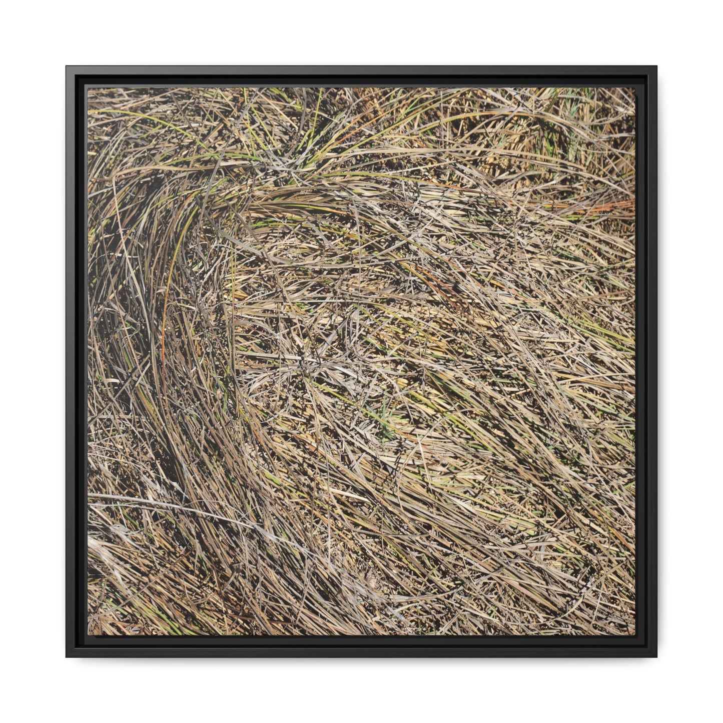 Tangled Grass Symphony - Unique Stretched Canvas Wall Art - Art By Earth