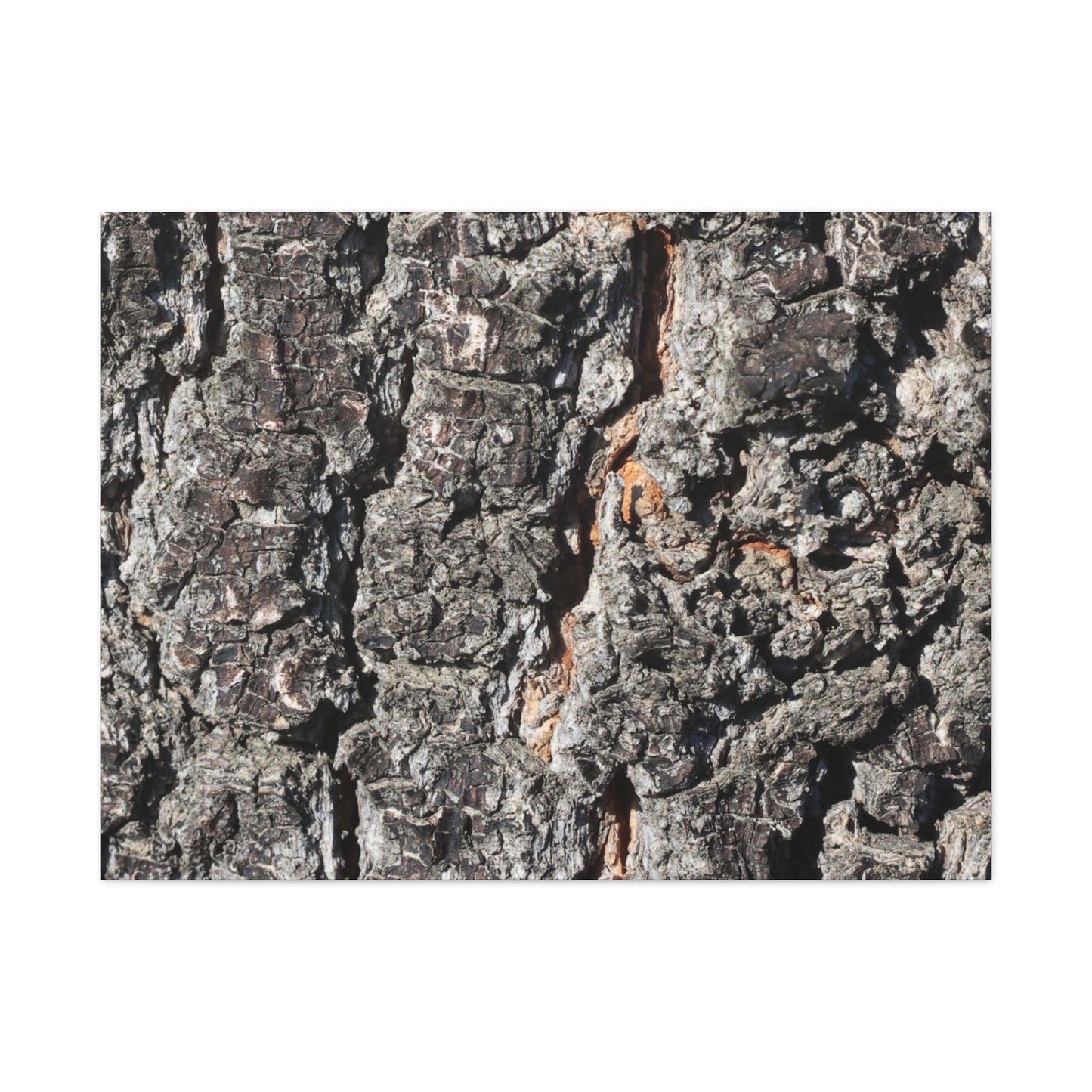 Arboreal Skin - Unique Frameless Canvas Wall Art - Art By Earth