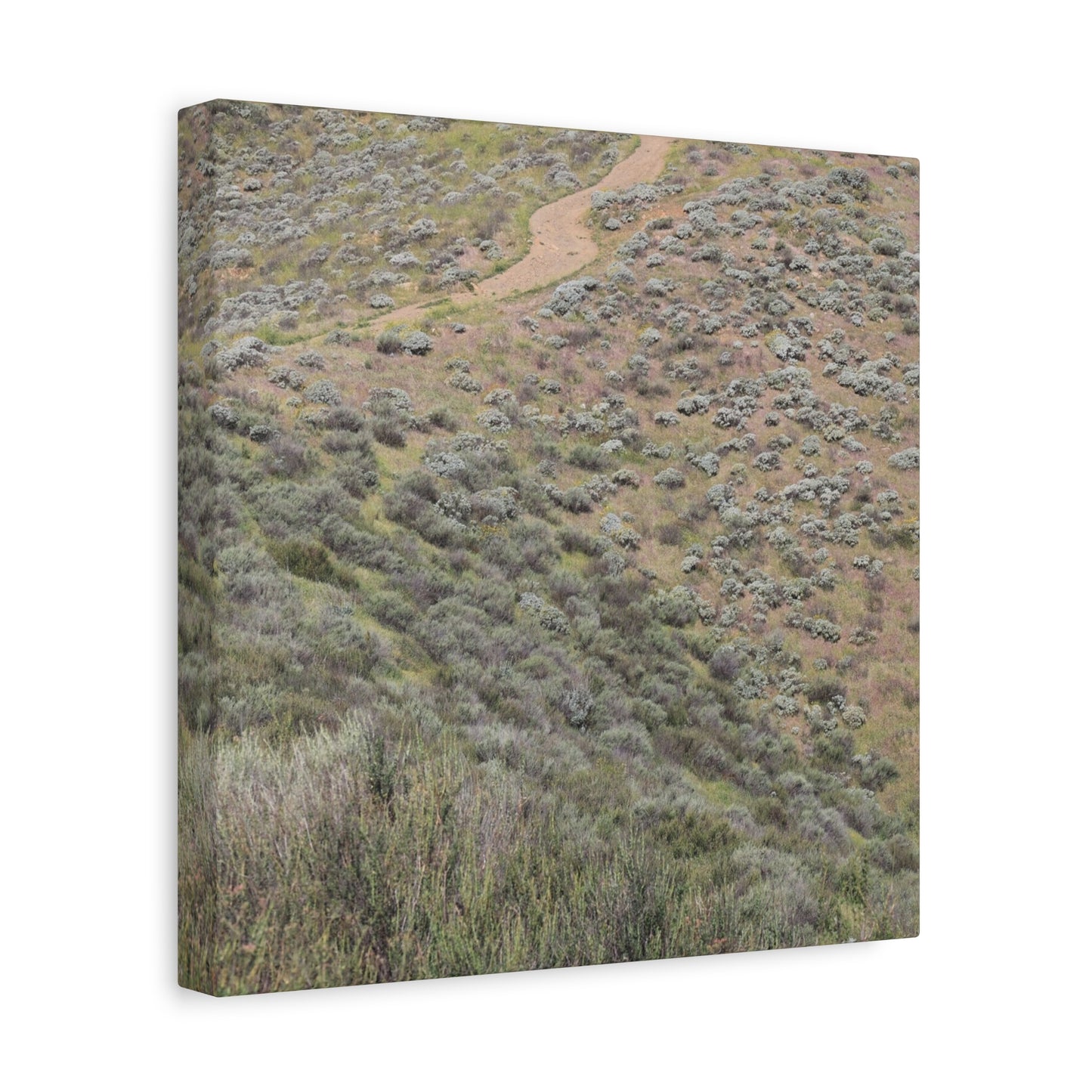 Desert Path Through Sagebrush - Unique Frameless Canvas Wall Art - Art By Earth