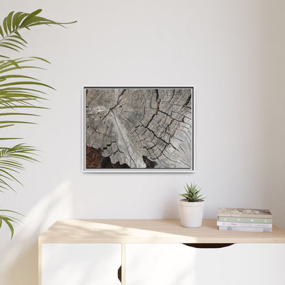 Time's Signature - Unique Stretched Canvas Wall Art - Art By Earth