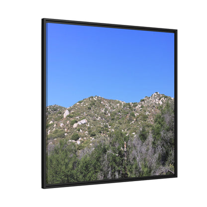 Sparse Vegetation - Unique Stretched Canvas Wall Art