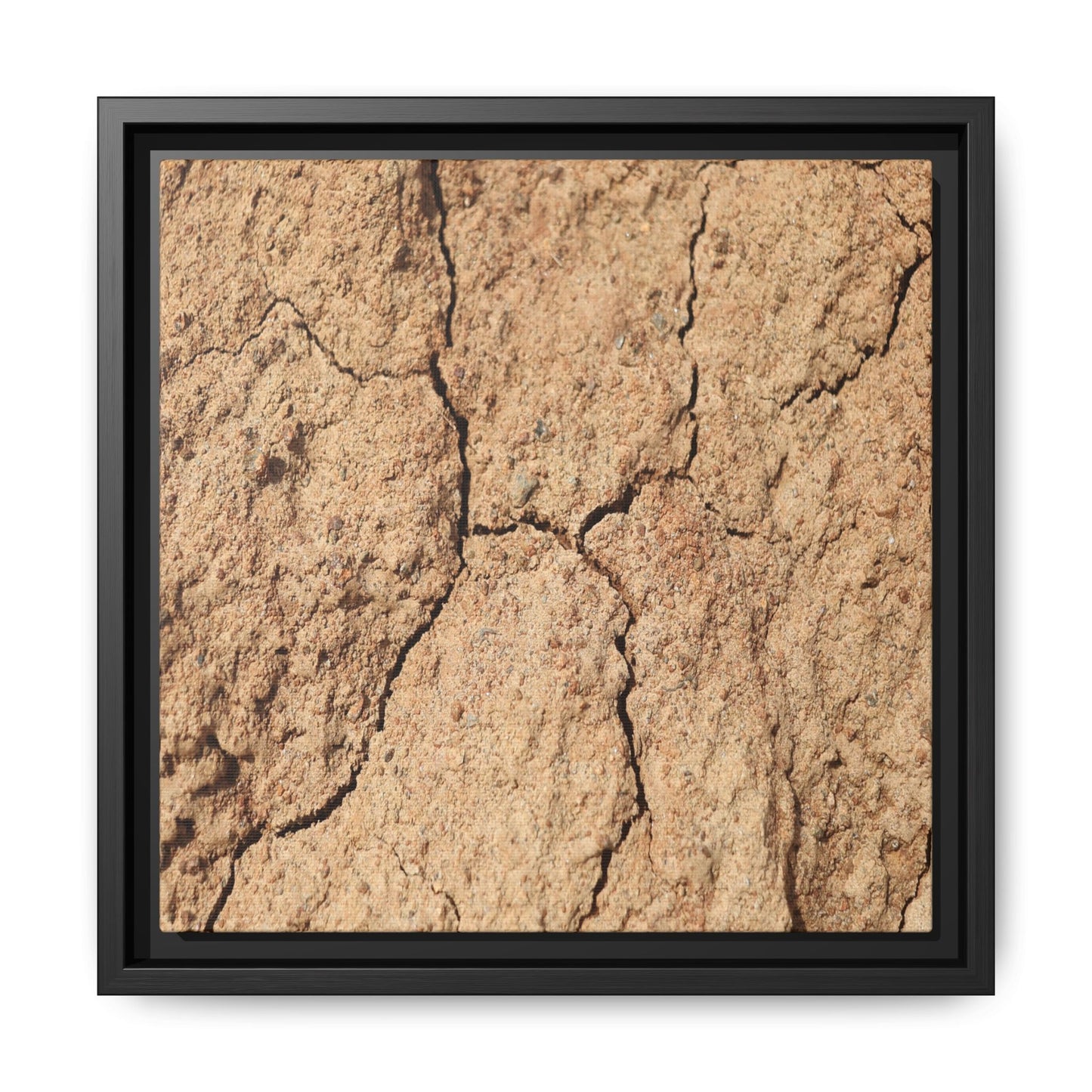 Parched Land - Unique Stretched Canvas Wall Art - Art By Earth