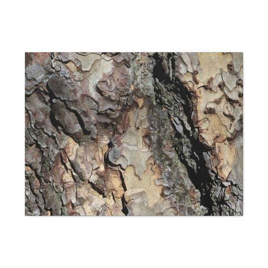 Wooden Labyrinth - Unique Frameless Canvas Wall Art - Art By Earth