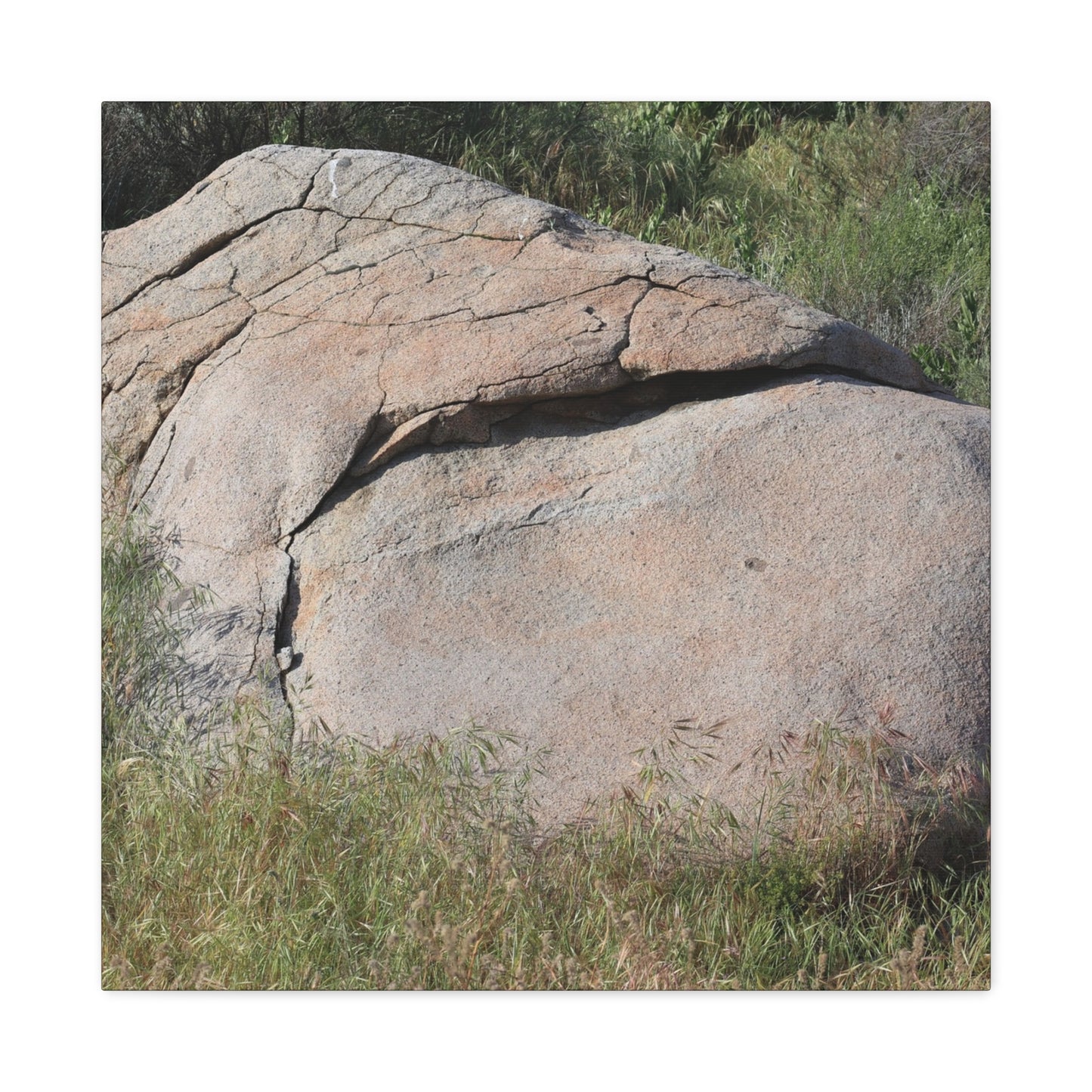 Granite Boulder in Desert Scrub - Unique Frameless Canvas Wall Art - Art By Earth