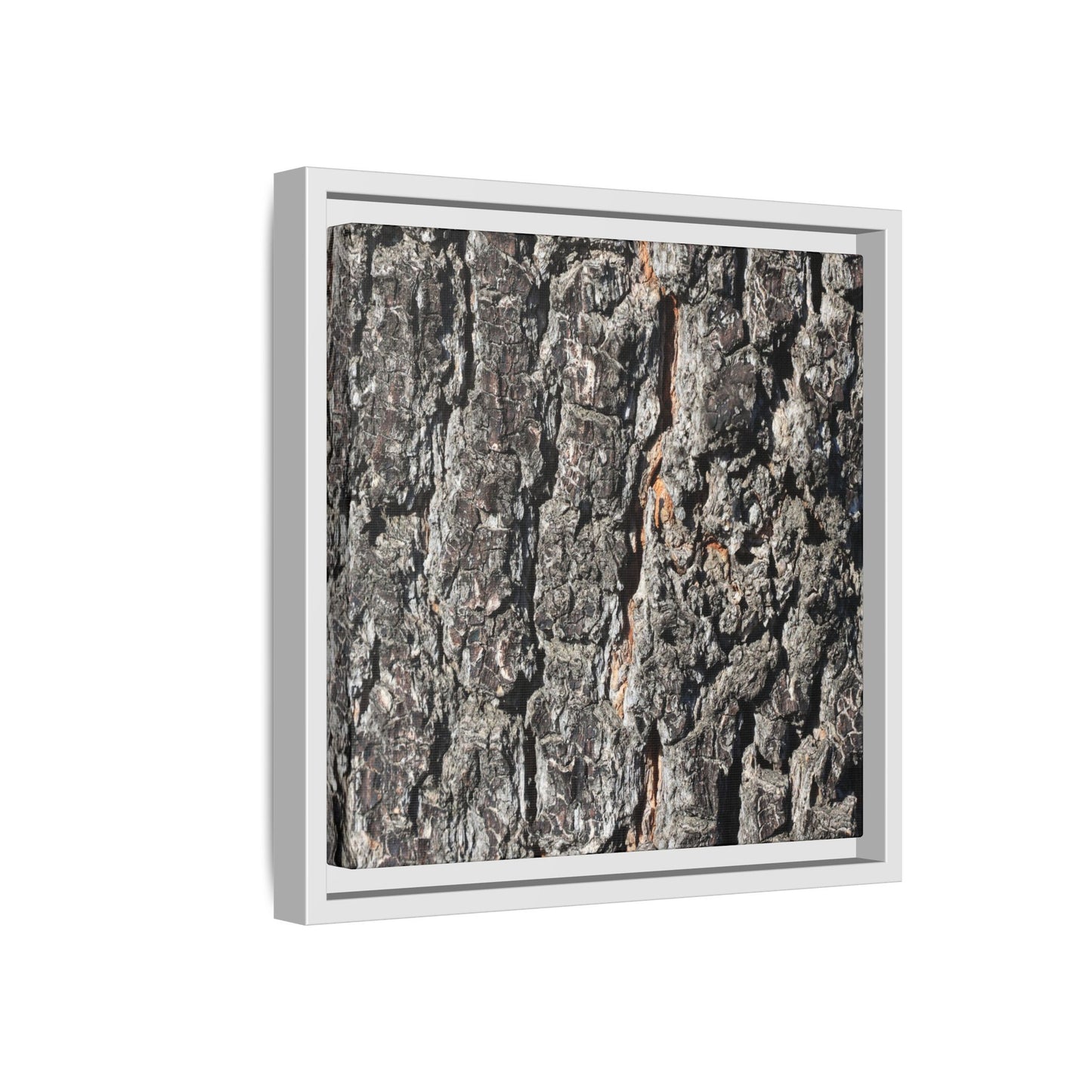 Aged Beauty - Unique Stretched Canvas Wall Art - Art By Earth