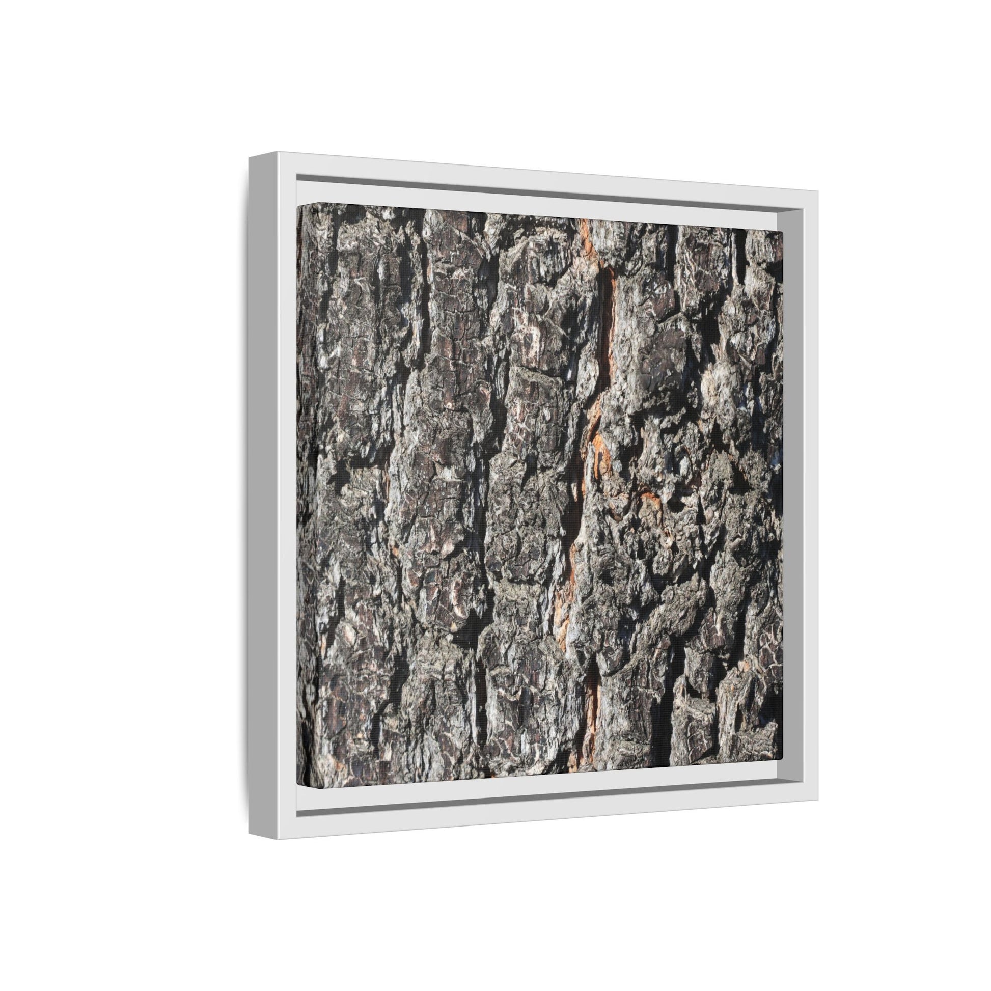 Aged Beauty - Unique Stretched Canvas Wall Art - Art By Earth