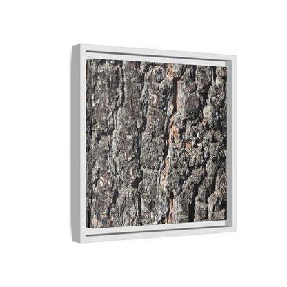 Aged Beauty - Unique Stretched Canvas Wall Art - Art By Earth