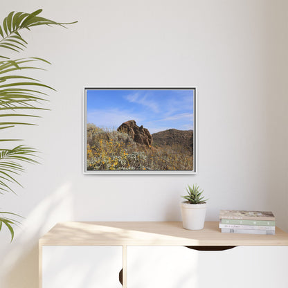 Golden Flowers in Arid Landscape - Unique Stretched Canvas Wall Art - Art By Earth