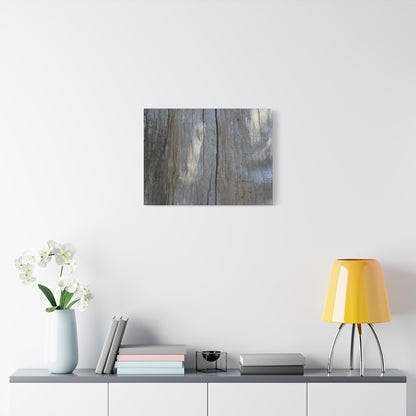 Split Log - Unique Frameless Canvas Wall Art