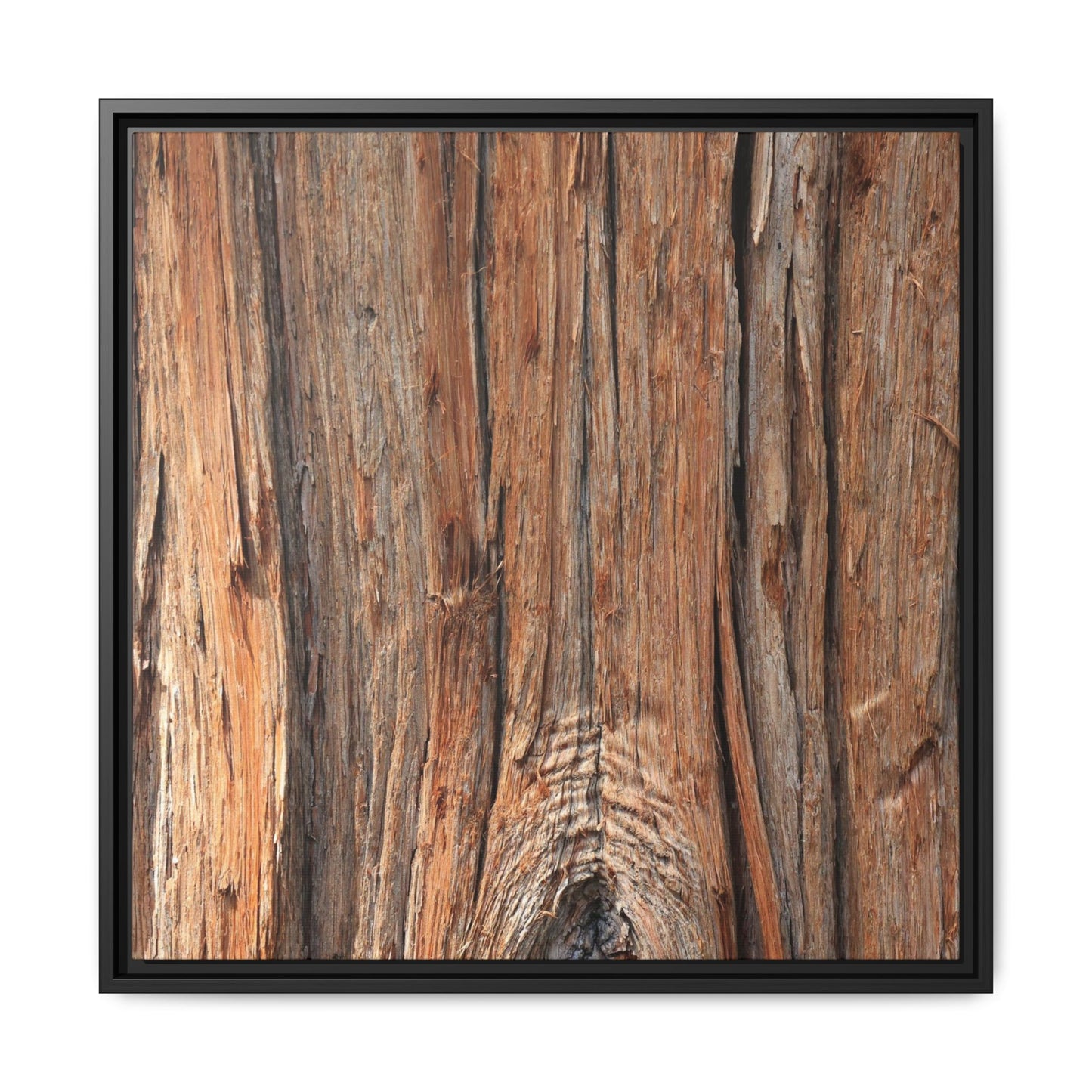 Echoes of Timber - Unique Stretched Canvas Wall Art - Art By Earth