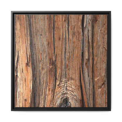Echoes of Timber - Unique Stretched Canvas Wall Art - Art By Earth