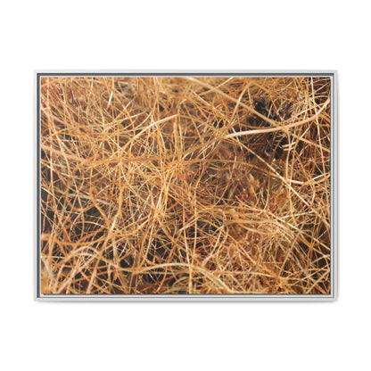 Dried Grass - Unique Stretched Canvas Wall Art - Art By Earth