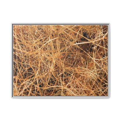 Dried Grass - Unique Stretched Canvas Wall Art - Art By Earth