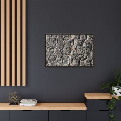 Aged Beauty - Unique Stretched Canvas Wall Art - Art By Earth