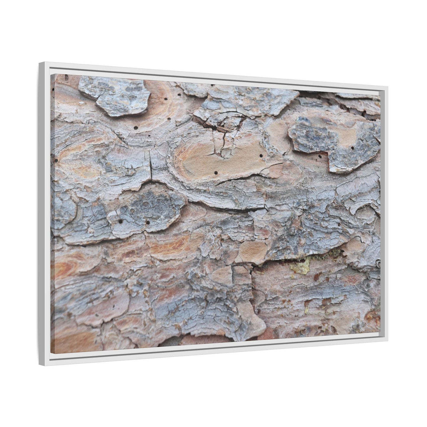 Peeling Memories - Unique Stretched Canvas Wall Art - Art By Earth