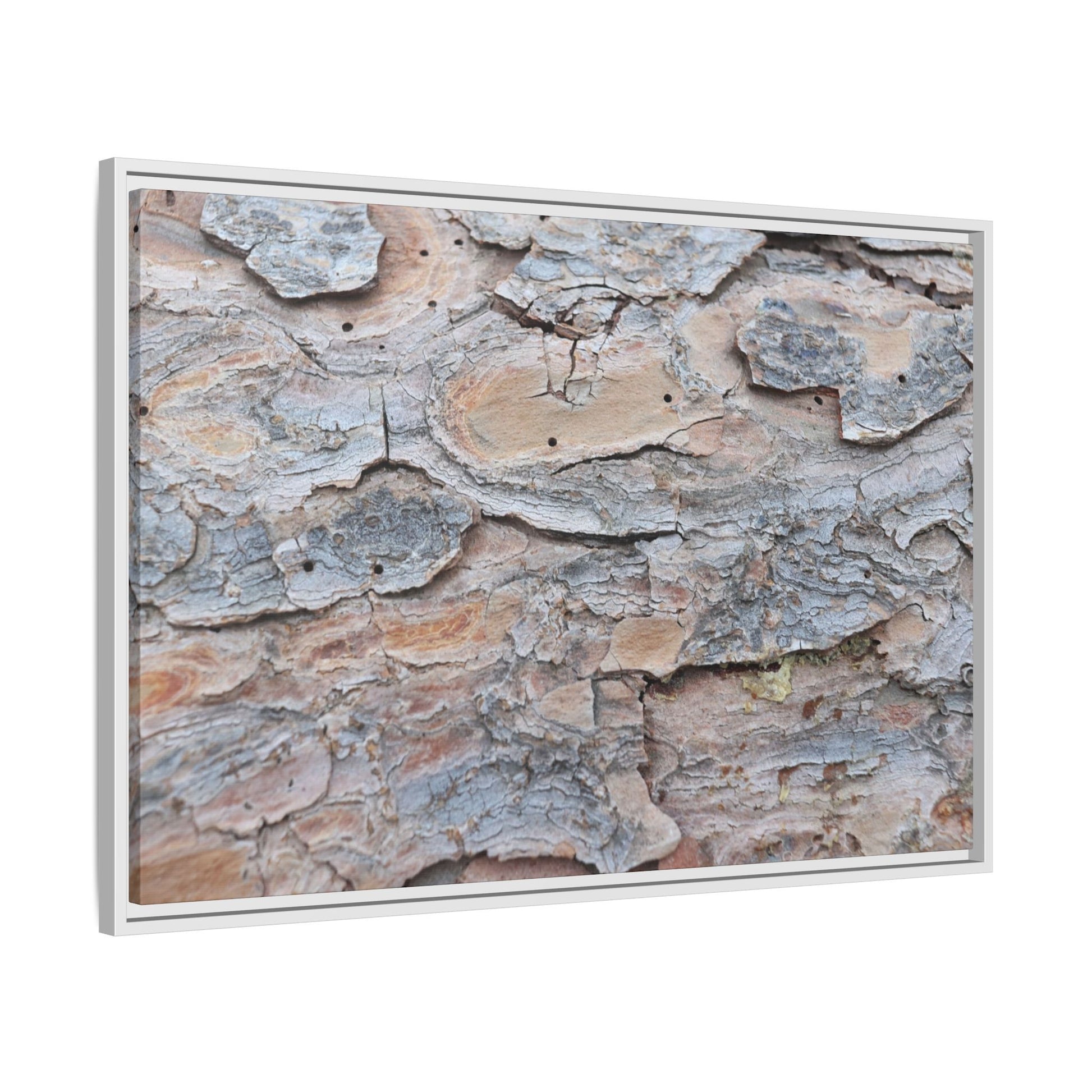 Peeling Memories - Unique Stretched Canvas Wall Art - Art By Earth