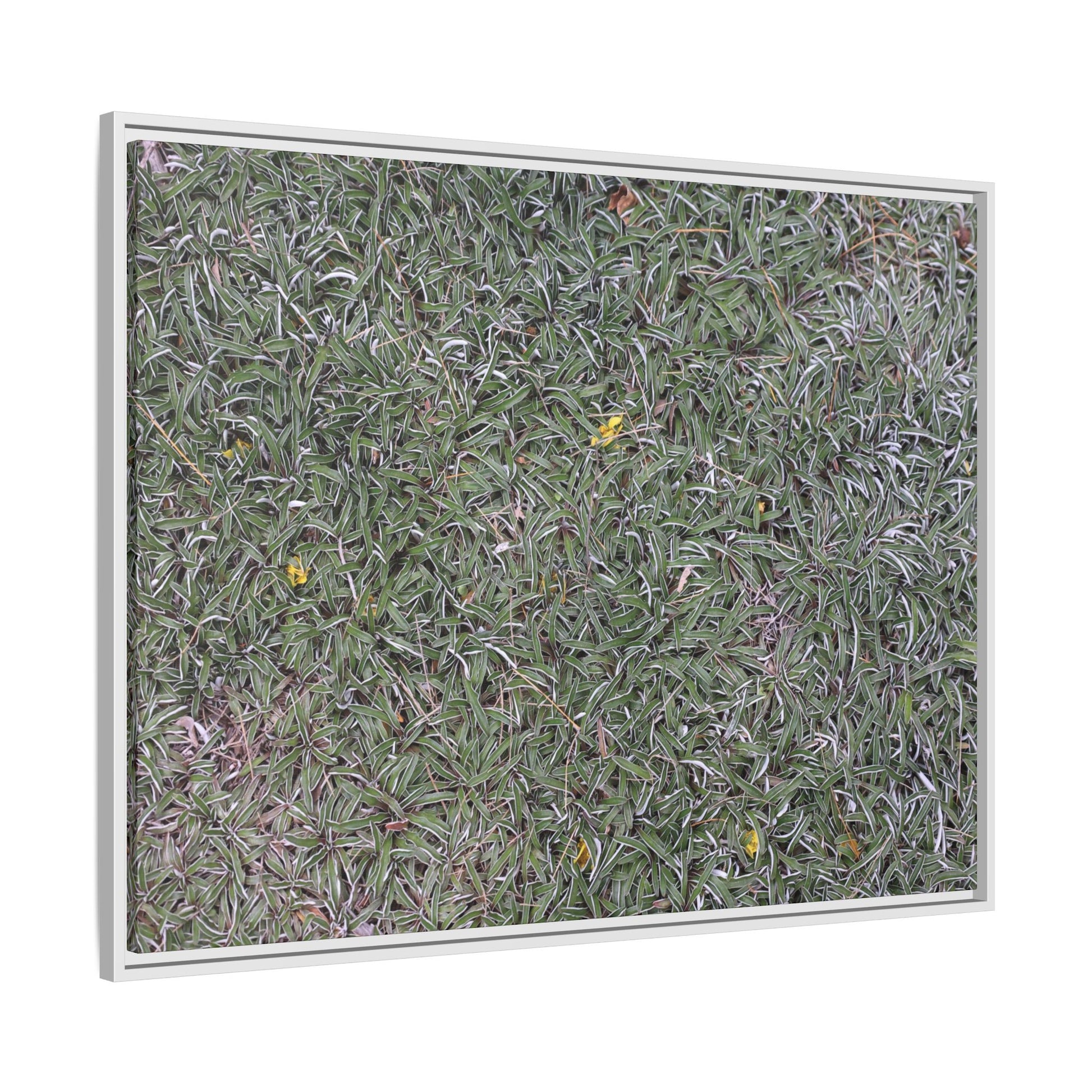 Grassy Texture - Unique Stretched Canvas Wall Art - Art By Earth