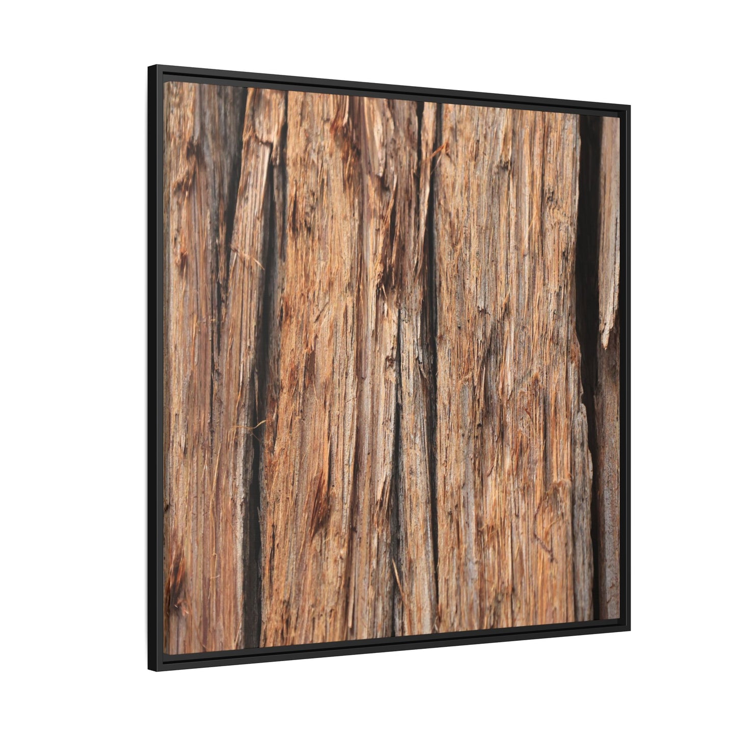 Timber Echoes - Unique Stretched Canvas Wall Art - Art By Earth