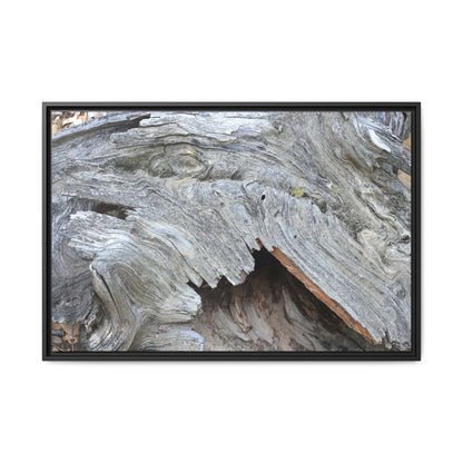 Driftwood Dreams - Unique Stretched Canvas Wall Art - Art By Earth
