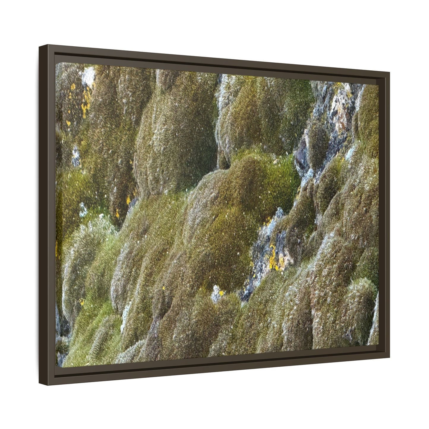 Moss Symphony - Unique Stretched Canvas Wall Art
