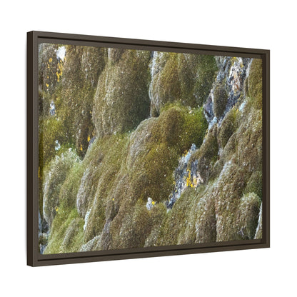 Moss Symphony - Unique Stretched Canvas Wall Art