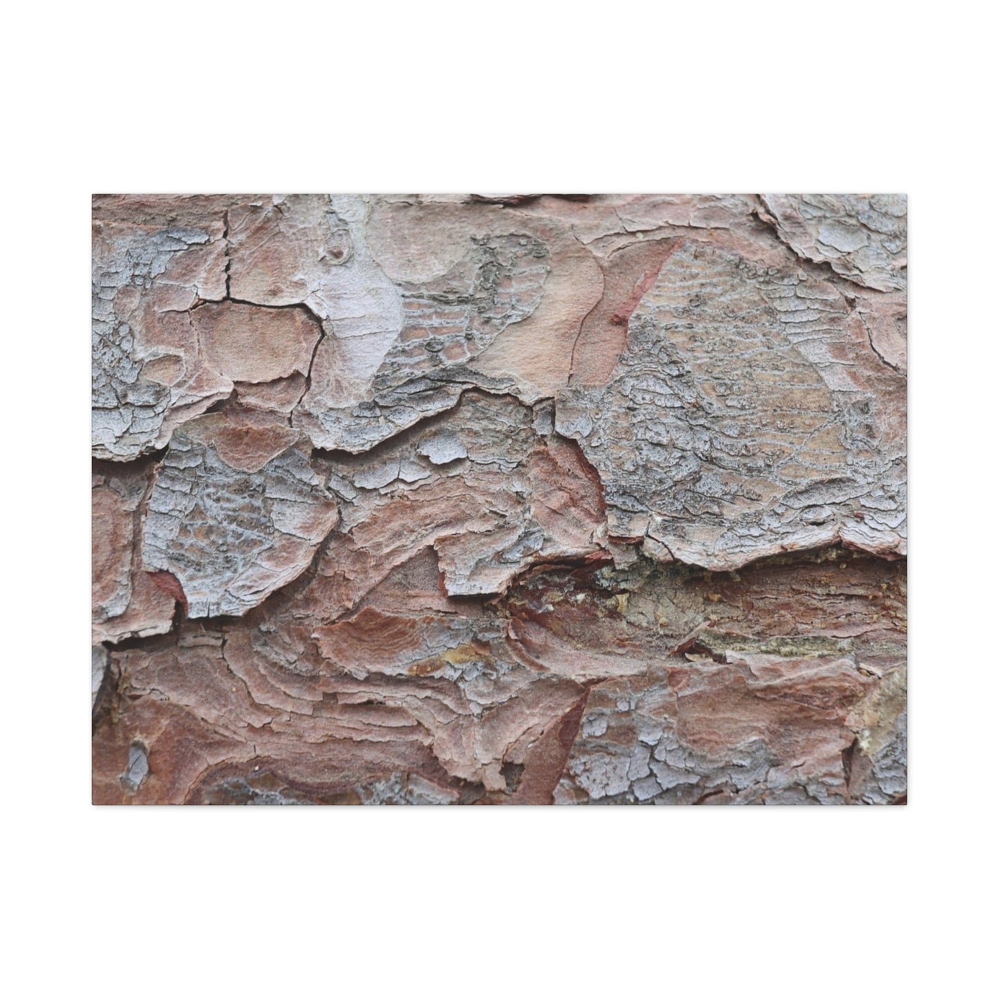 Textural Landscape - Unique Frameless Canvas Wall Art - Art By Earth