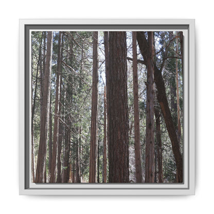 Forest Cathedral - Unique Stretched Canvas Wall Art - Art By Earth